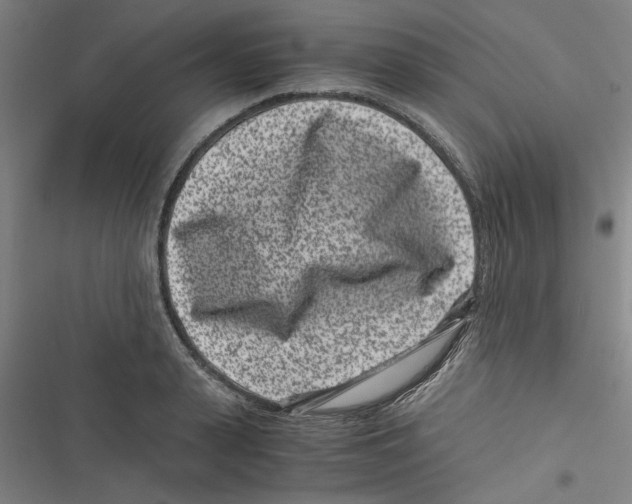 X0000116760943201001141426