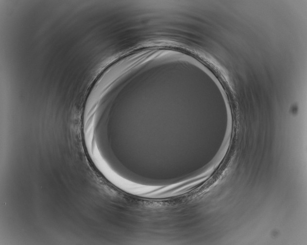 X0000116760945201001141426