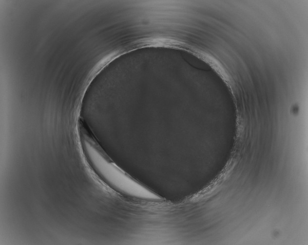 X0000116760946201001141426