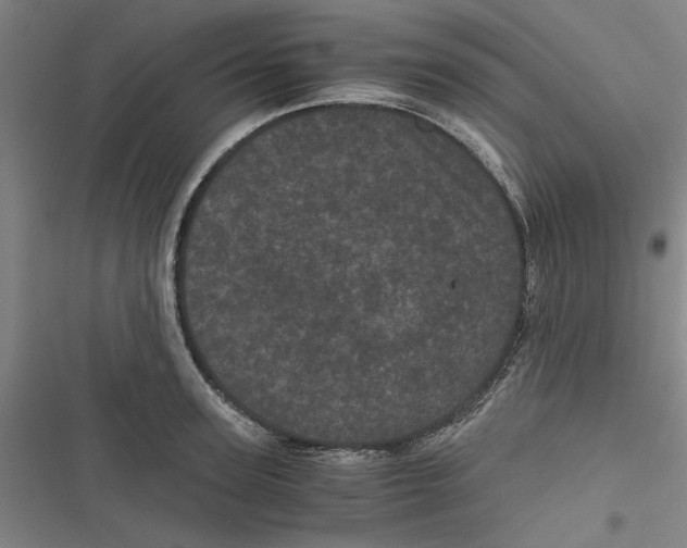 X0000116760947201001141426