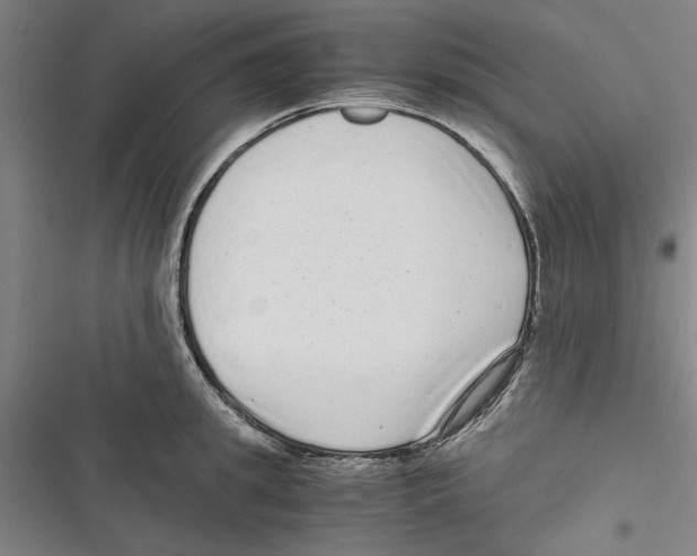 X0000116760949201001141427