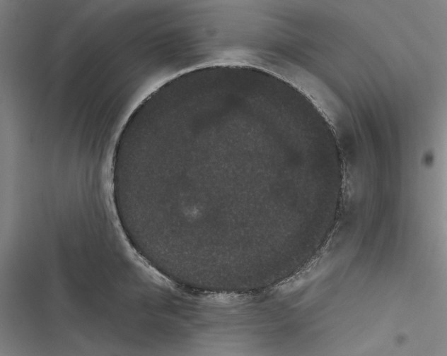 X0000116760950201001141427