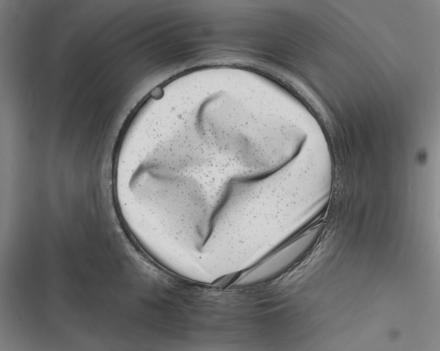 X0000116760951201001141427