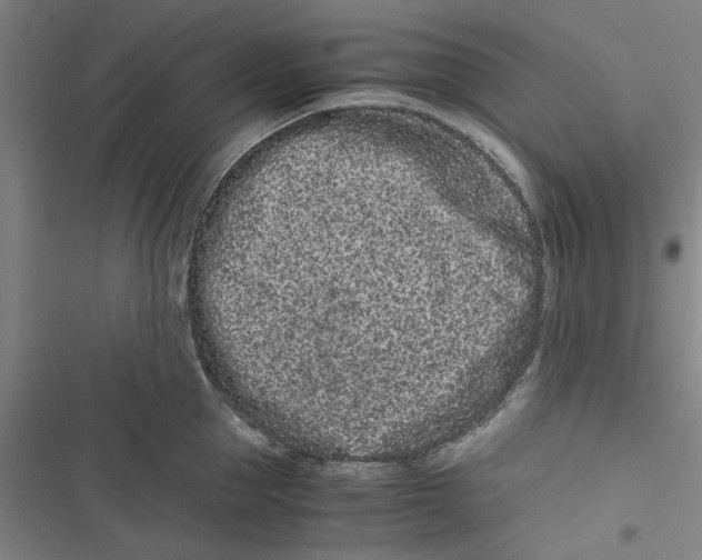 X0000116760953201001141427