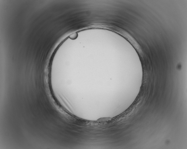 X0000116760955201001141427