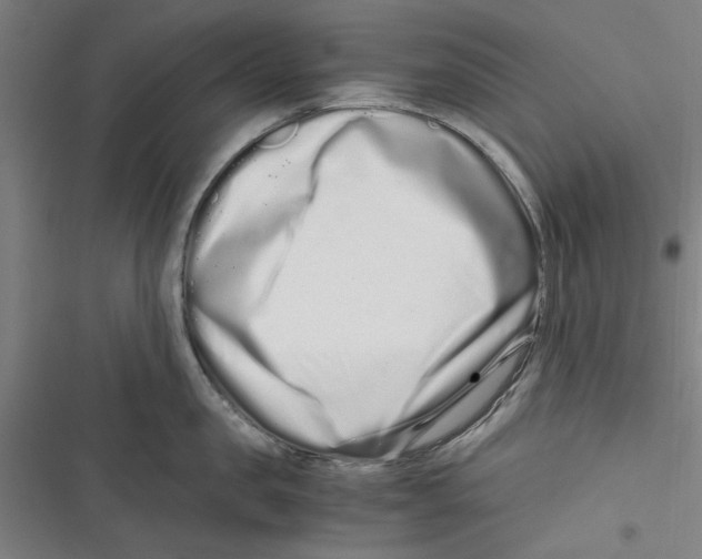 X0000116760957201001141427