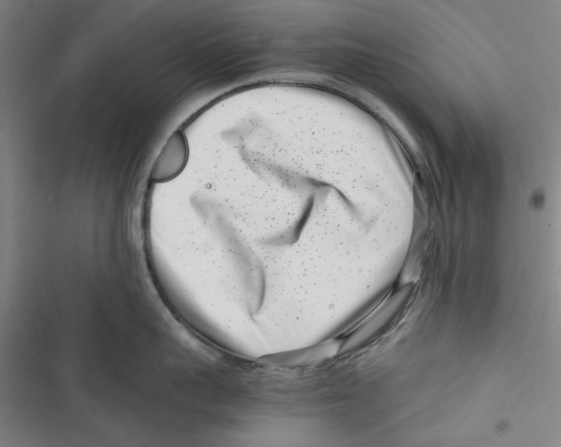 X0000116760959201001141427