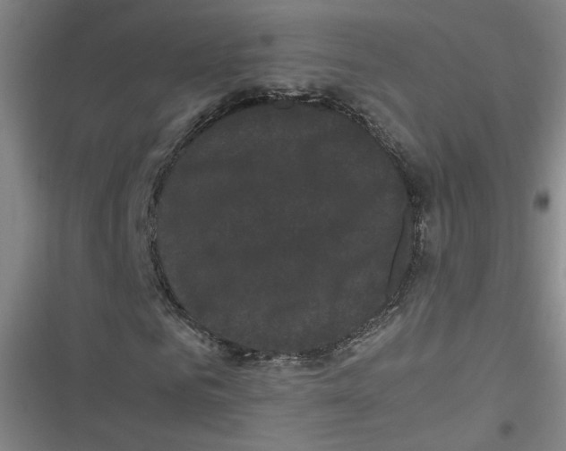 X0000116760961201001141426