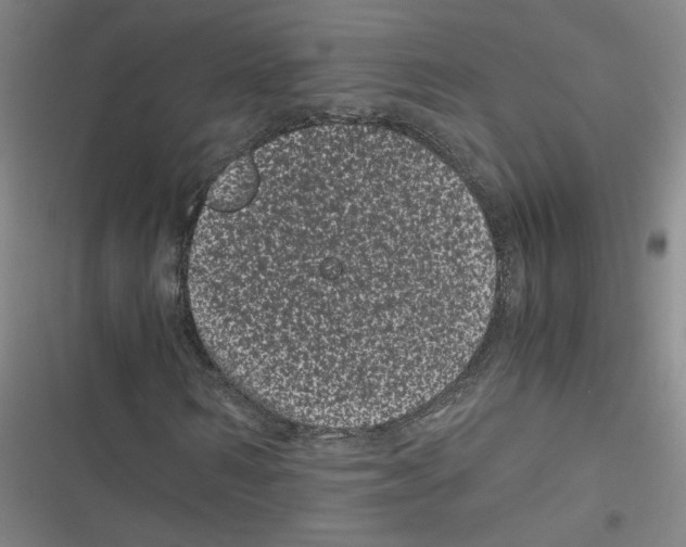 X0000116760962201001141426