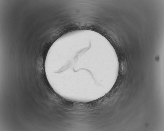 X0000116760963201001141426