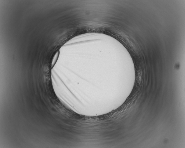 X0000116760964201001141426