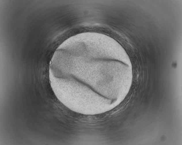 X0000116760966201001141426