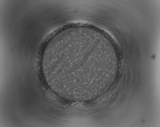 X0000116760967201001141426