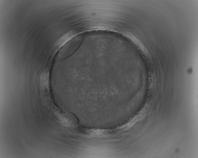 X0000116760969201001141426