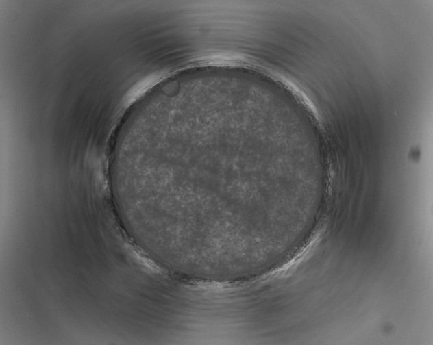 X0000116760970201001141426