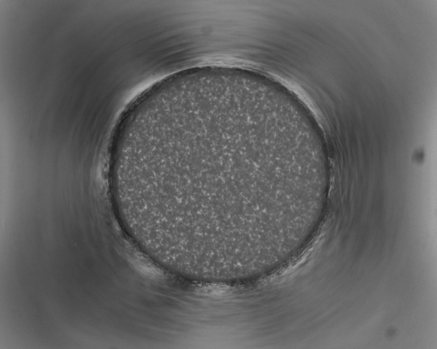 X0000116760971201001141426