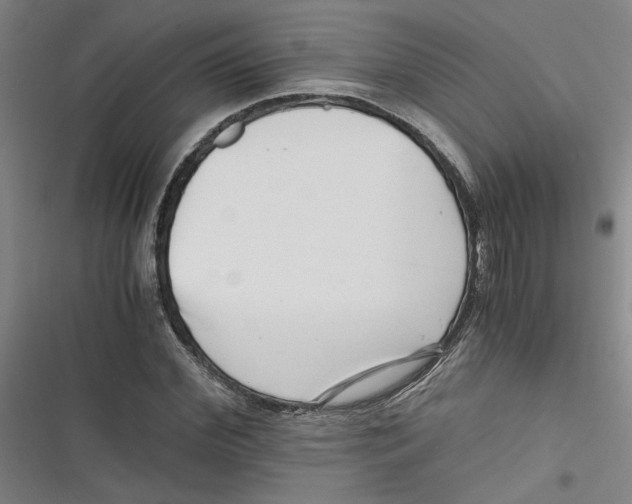 X0000116760972201001141426