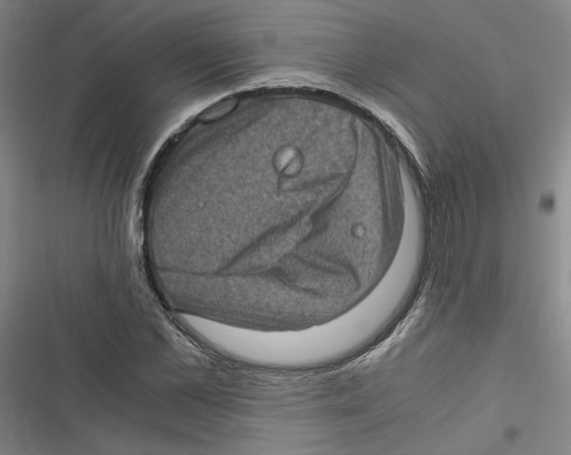 X0000116760973201001141426