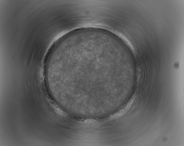 X0000116760974201001141426