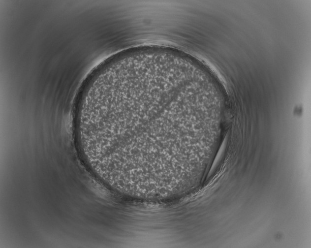 X0000116760975201001141426