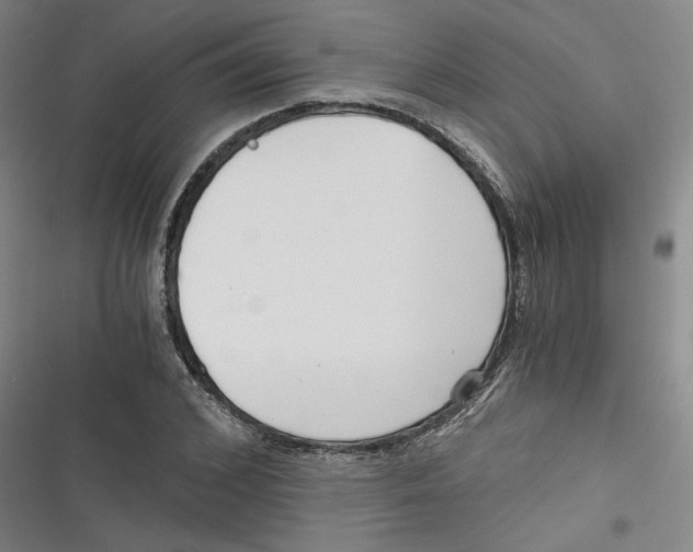 X0000116760976201001141426