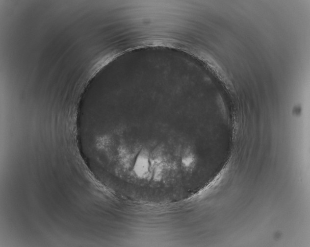 X0000116760977201001141426