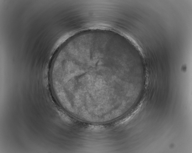 X0000116760978201001141426