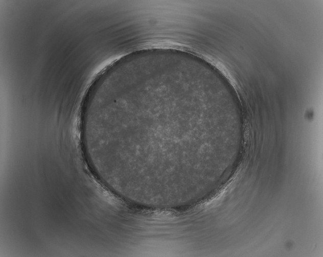 X0000116760979201001141426