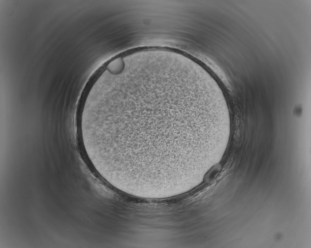 X0000116760980201001141426