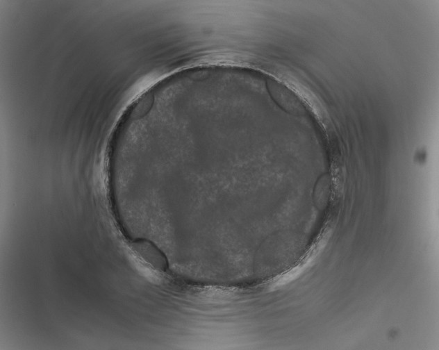 X0000116760981201001141426