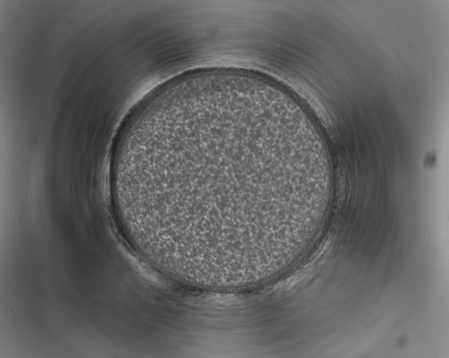 X0000116760982201001141426