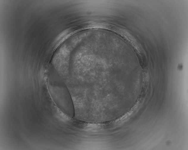 X0000116760985201001141426