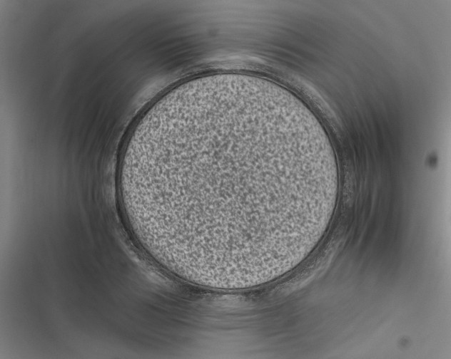 X0000116760986201001141426