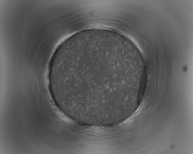 X0000116760987201001141426