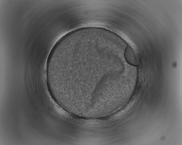 X0000116760988201001141426