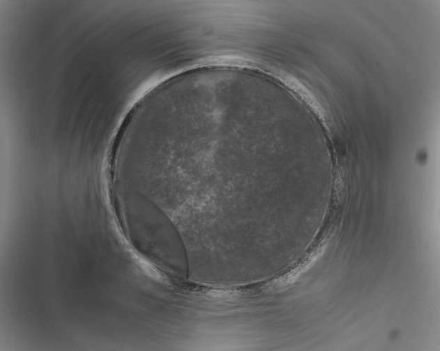 X0000116760989201001141426