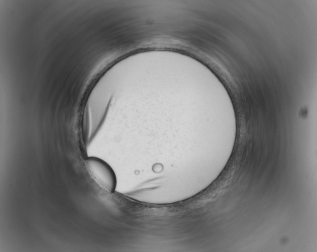 X0000116760990201001141426