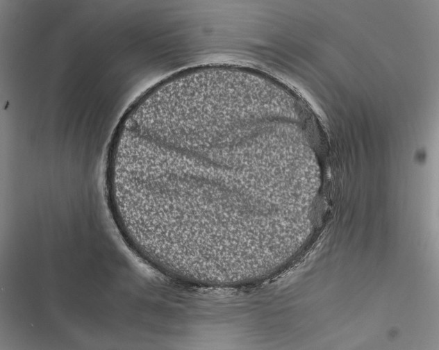 X0000116760991201001141426