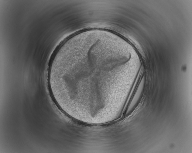 X0000116760992201001141426