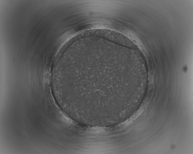 X0000116760993201001141426