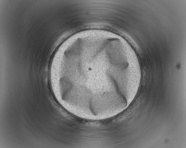 X0000116760994201001141426