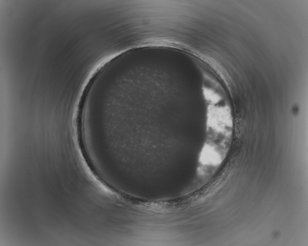 X0000116760995201001141426