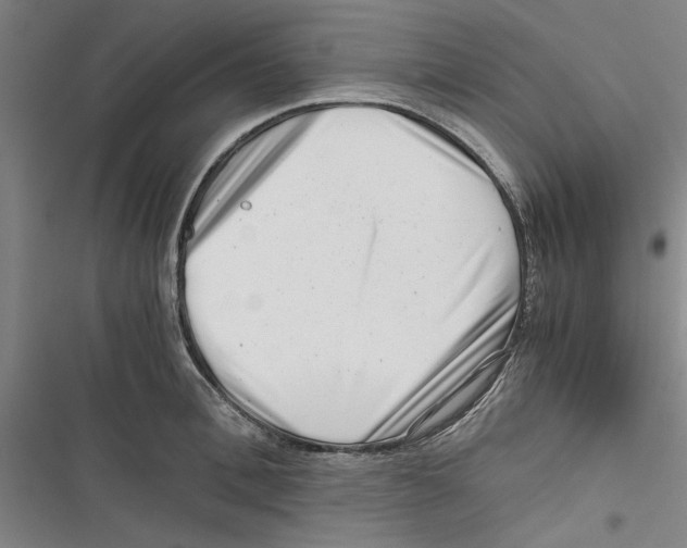 X0000116760996201001141426