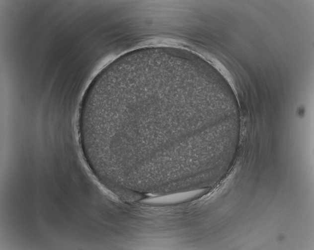 X0000116760997201001141426