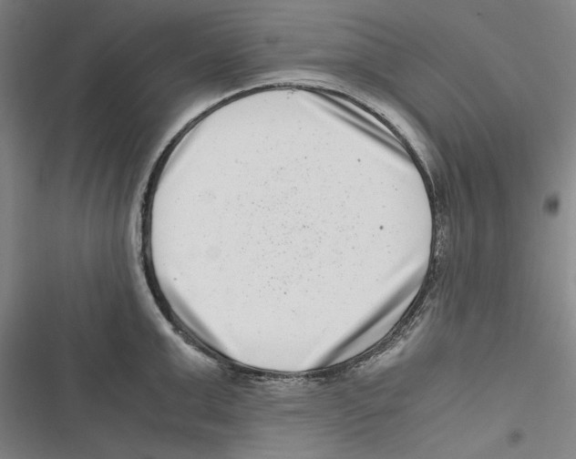 X0000116760999201001141425