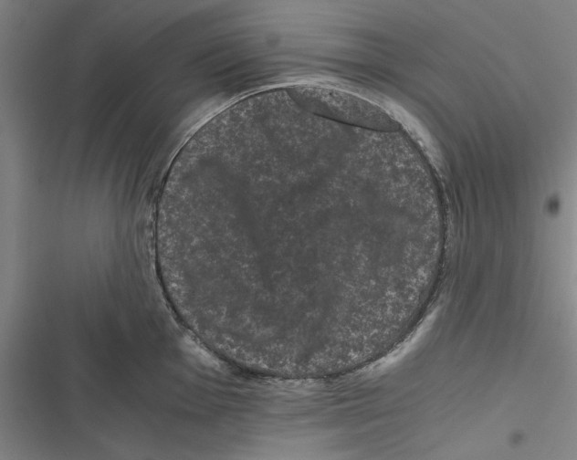 X0000116761001201001141425