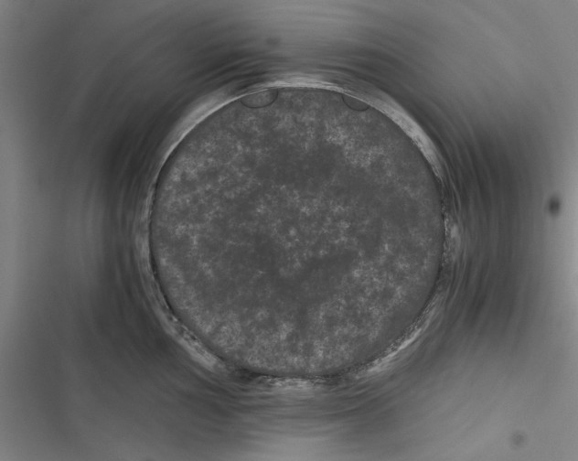 X0000116761002201001141425