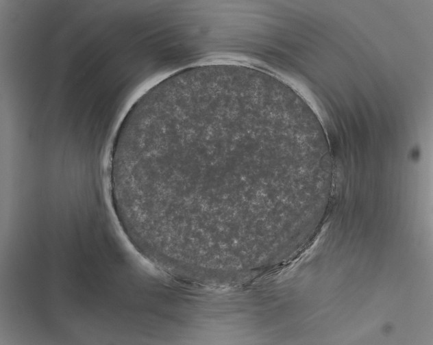 X0000116761003201001141425