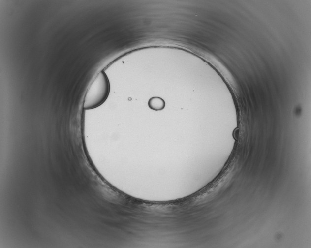 X0000116761004201001141425