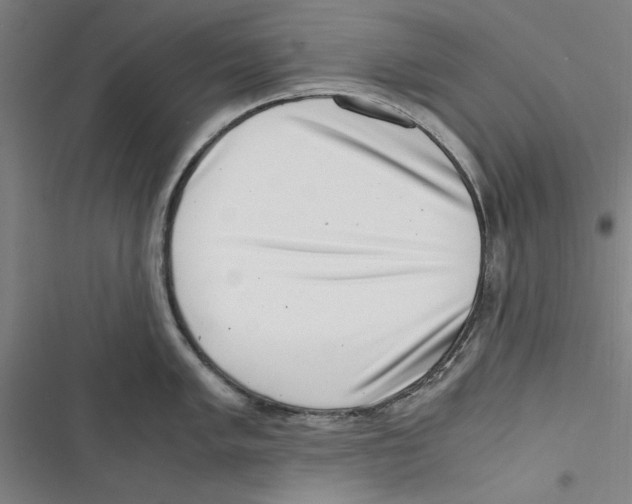 X0000116761005201001141425